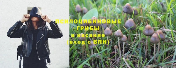 дмт Балахна