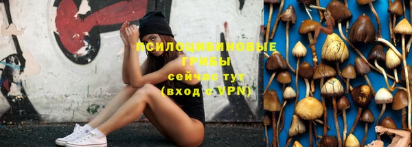 apvp Баксан