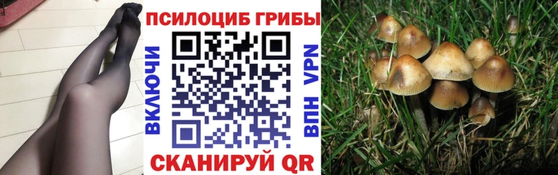 Купить закладки  Николаевск-на-Амуре  Галлюциногенные грибы прущие грибы 